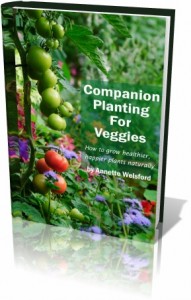 companion planting guide