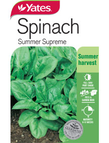 spinach summer supreme