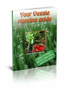 Your veggie planting guide