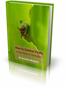 How To Control Pests Using Natural Remedies