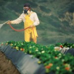pesticides for veggies