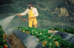 pesticides for veggies