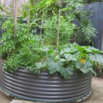 raised garden bed for vegetables