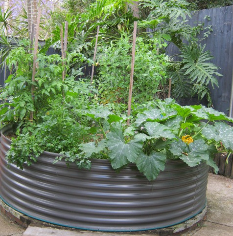 raised garden bed for vegetables