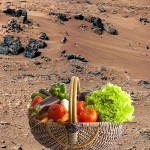 veg on Mars