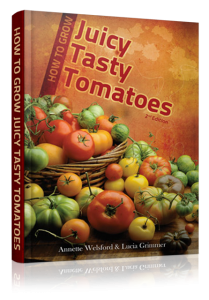 How To Grow Juicy Tasty Tomatoes