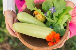 Bowl Of Freshly Picked Vegetables In Kids' Hands